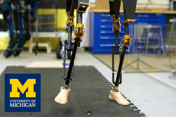 University of Michigan